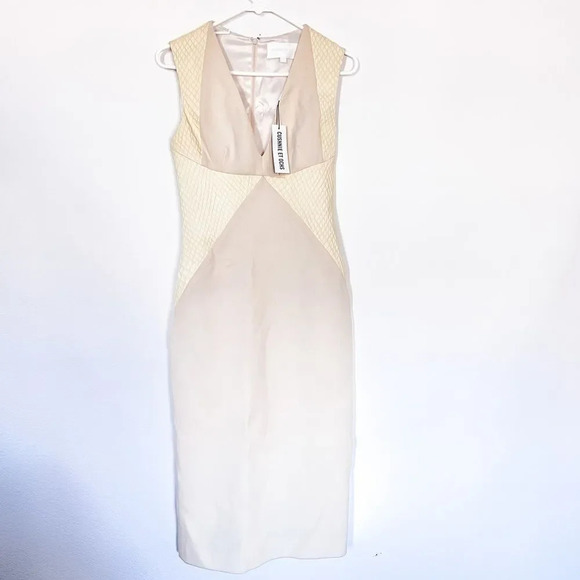 Cushnie Et Ochs‎ Fishnet Leather & Wool Crepe Paneled Dress Ivory Size 6 - Picture 3 of 10
